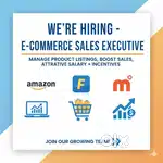 E-commerce Sales Executive