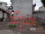 Commercial plot