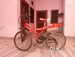 Cycle for 10 year student