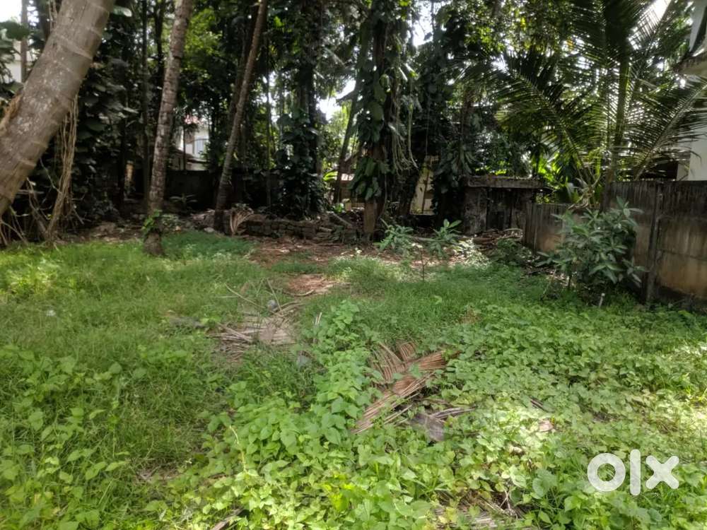 10 cent parambu for sale near civil station