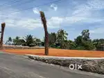 5,300, cent premium plot for sale near Kakkanad