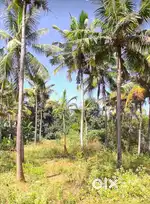Land good for building apartments and homes
