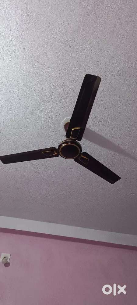 Only serious students should message college students.