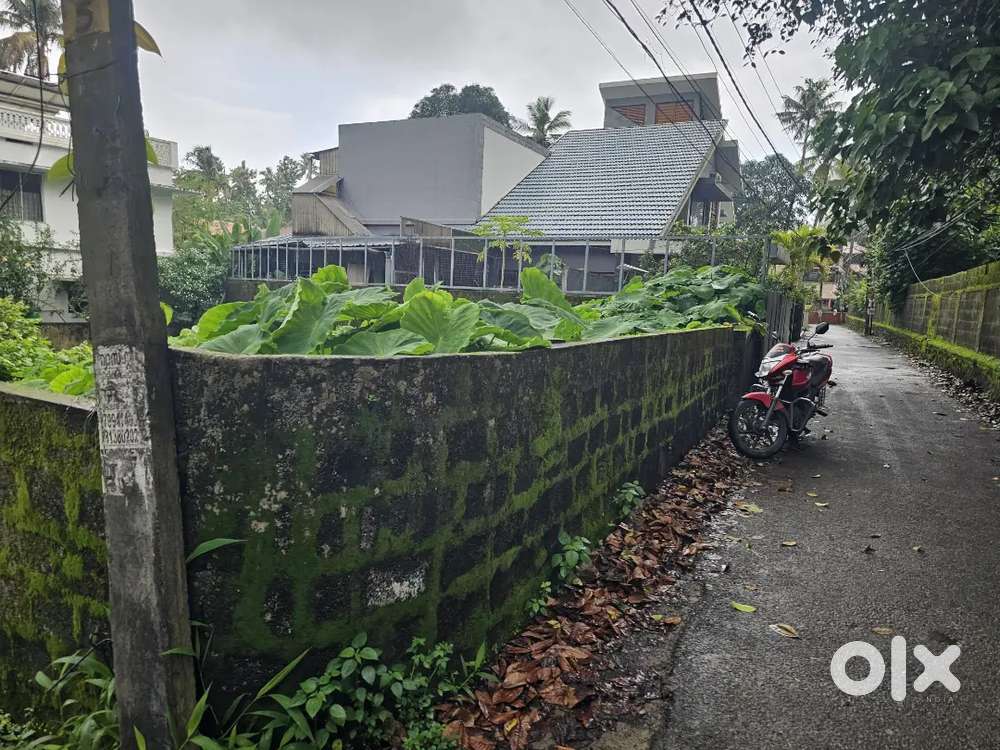 6 Cent Residencial House Plot For Sale Thrikkakara Edappaly.