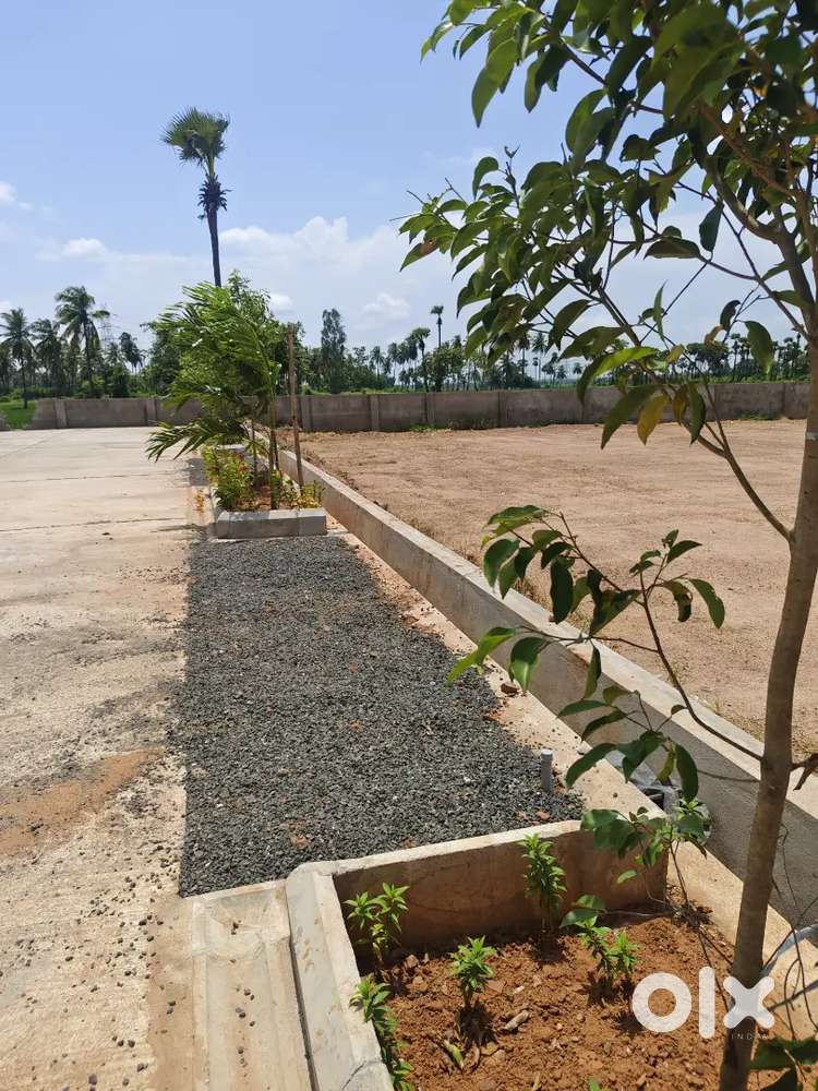Ruda plot suitable for construction houses at Rajavolu