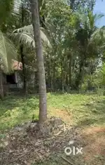 Near iim gate Kunnamangalam oposite palakal mall30 meter away from NH
