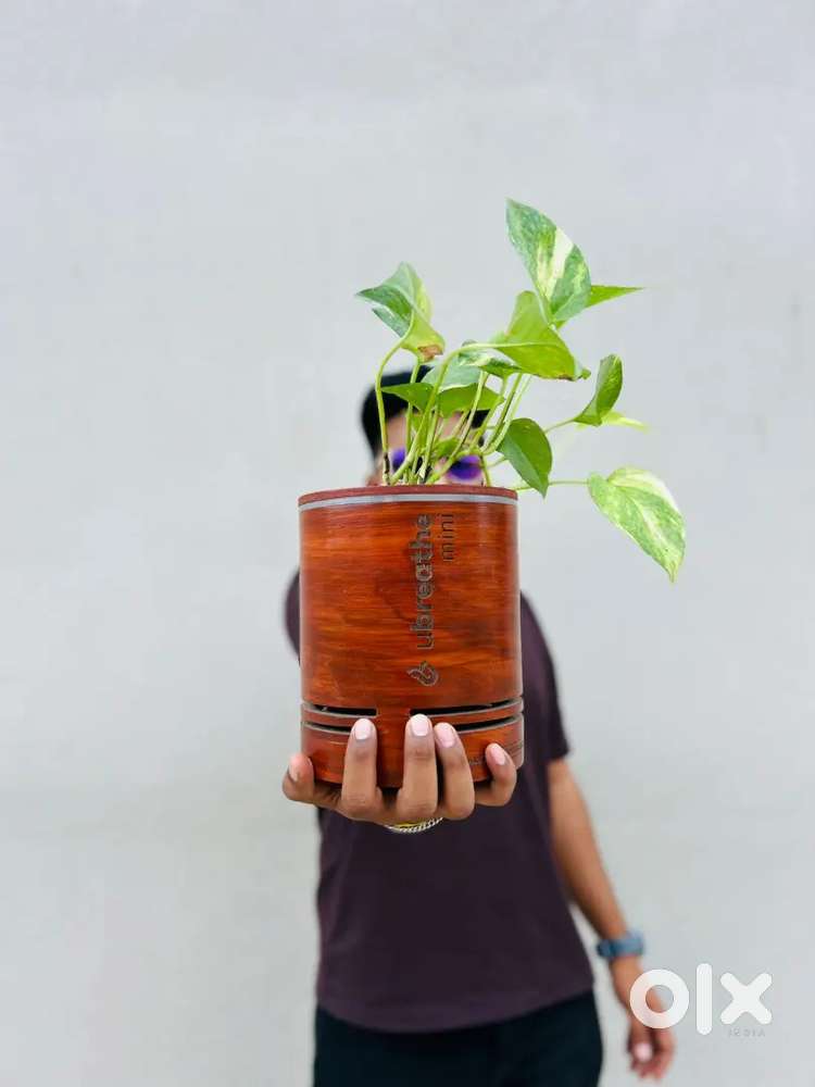 Plant Air purifier