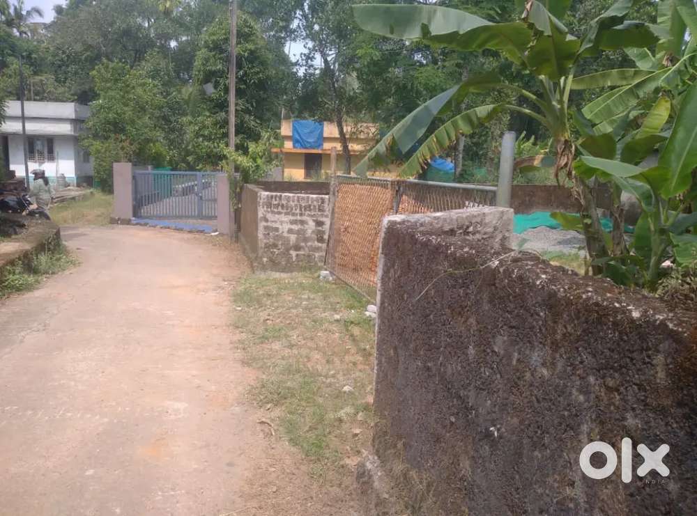 4.5 cent original land Bus stop 100 mtrAluva chowwara airport road