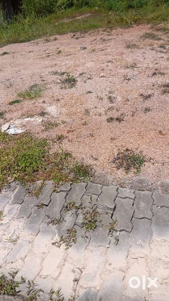 Five cent plain residential land near Yeyyadi