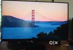 LG 24 monitor under warranty