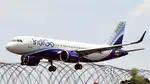 Accountant job in Cargo Warehouse On IGI Airport for Experienced