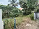 5.5 CENT RESIDENTIAL PLOT FOR SALE NEARBY KUTTUR - THRISSUR