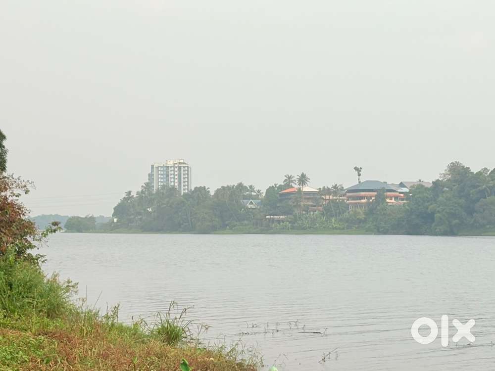 Aluva Periyar theeram Thottumugham 78 cent near Cochin airport