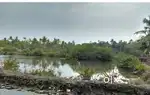 70 cents Plot suitable for prawns / fish farming