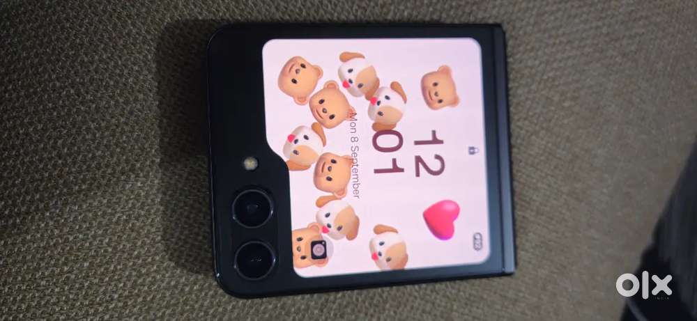 Limited Edition Samsung Galaxy Z Flip 5 (512 GB)