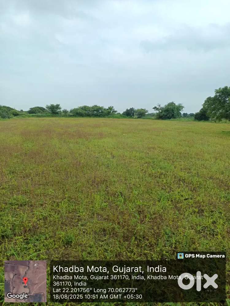 6 વિઘા 5 ગુઠા