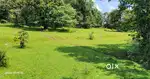 Agriculture land for sale