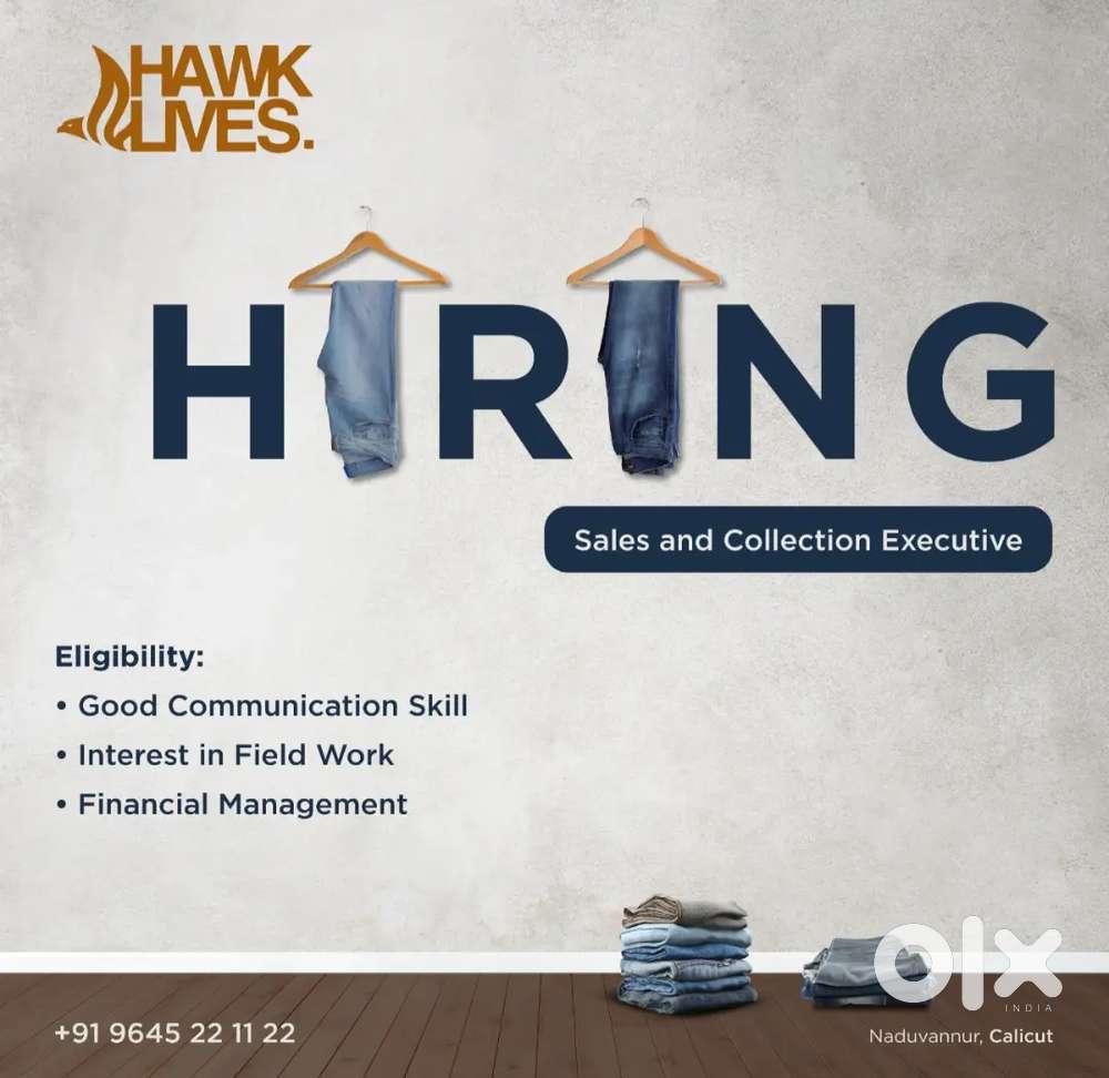 Sales and Collection Executive