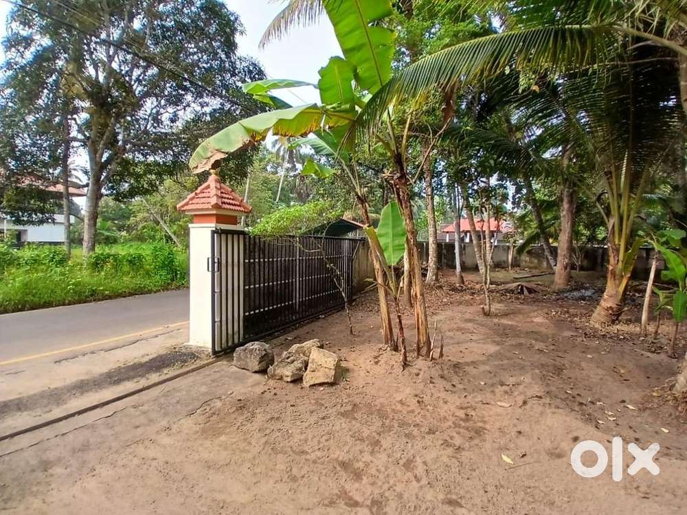 14 Cent Residential Plot for Sale