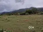 Onappalayam green homes dtcp 11 cent