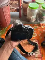 Nikon D3500