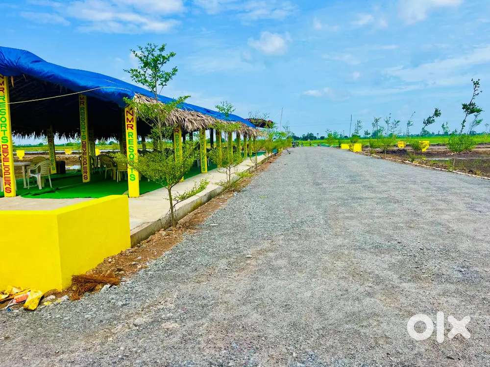 Direct Marketing For Boys And Girls