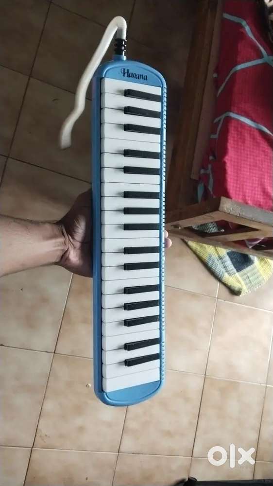 Melodica musical instrument