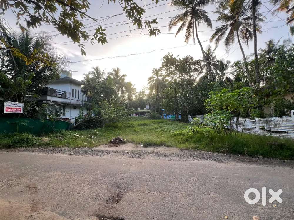 14 cent plot for sale in 10th stone (pathakallu)