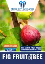 Farm Land for Sale Siruvani Road Just 3 Km from Highway