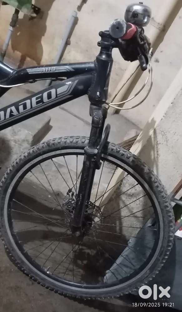 ROADEO BICYCLE FOR SALE