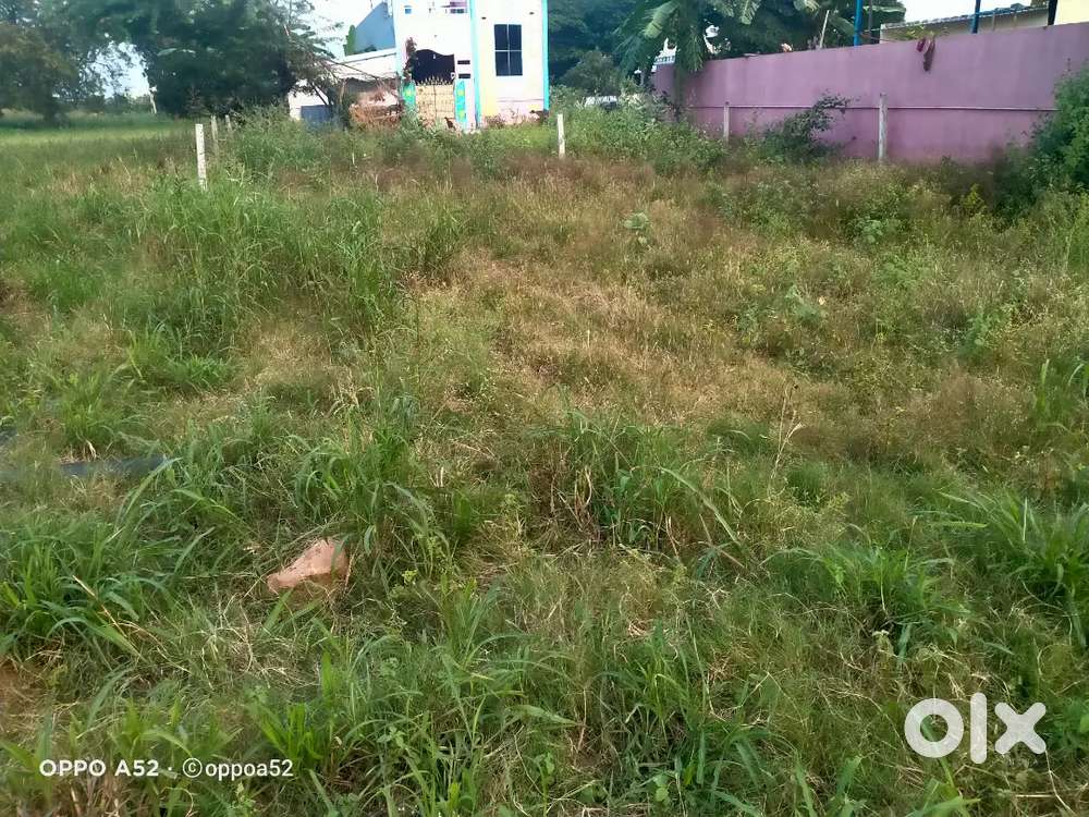 Agriculture land for sale in best price