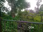 19 cent square plot for sale (Direct Owner Number)
