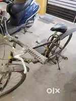 Cycle for sale