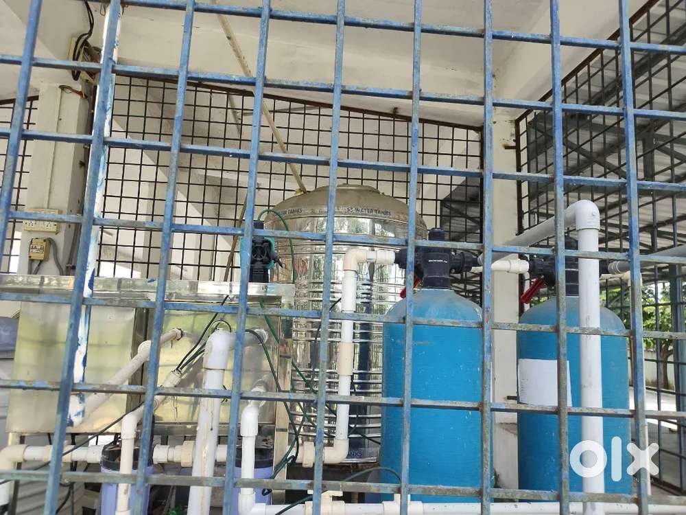 Water plant for sale