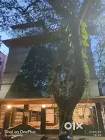 Mylapore individual building s+4 floor office