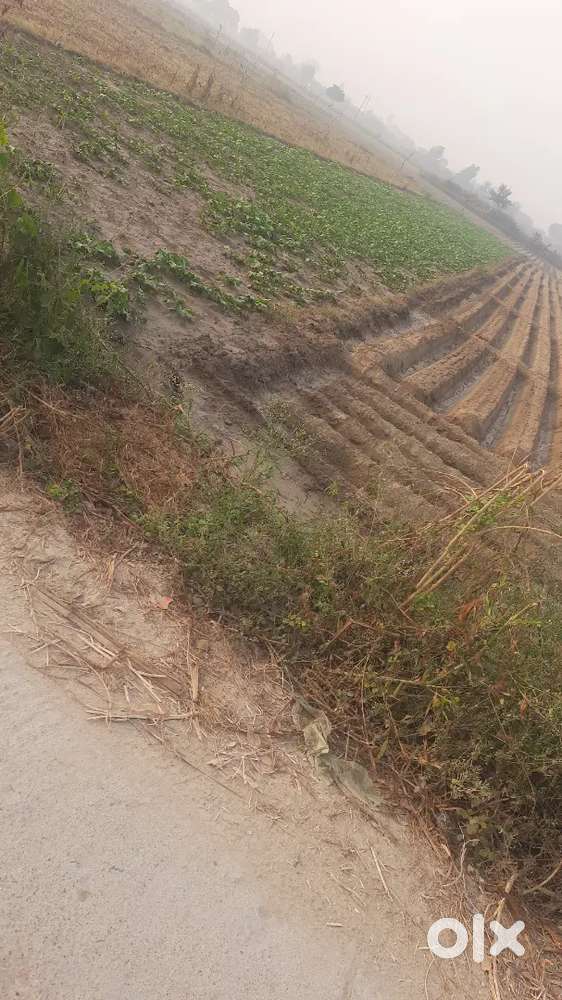 230 SQ MT PLOT IN SHIKOHABAD(FRIENDS COLONY)