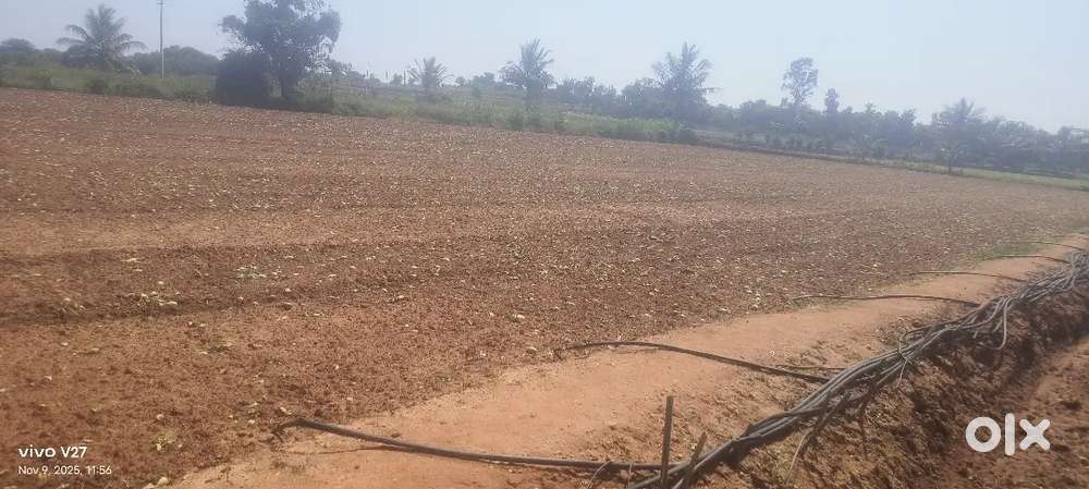 Anyone buying interest