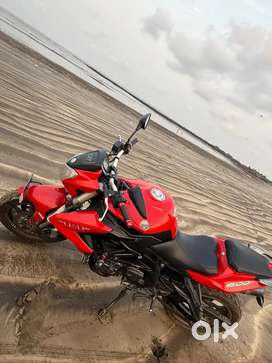 Benelli 600i 2019
