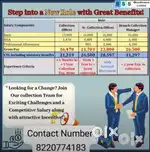 Collection officer