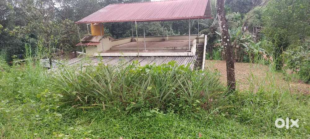 500 metres from National Highway Nellyady.