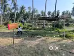 Land for Sale – 4 Cents in Peedamiram