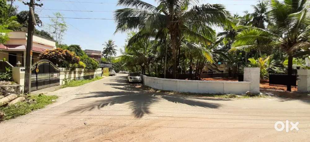 6/12.5 cents Commercial/ resident plot at pothencode price  negotiable