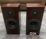 Totem Rainmaker bookshelf