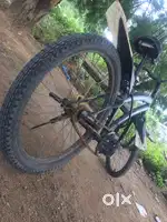 Single saeter good for stunts no brakes