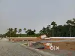@ANGAMALY NEAR APOLLO ADLUX HOSPITAL PREMIUM HOUSEPLOTS FOR SALE