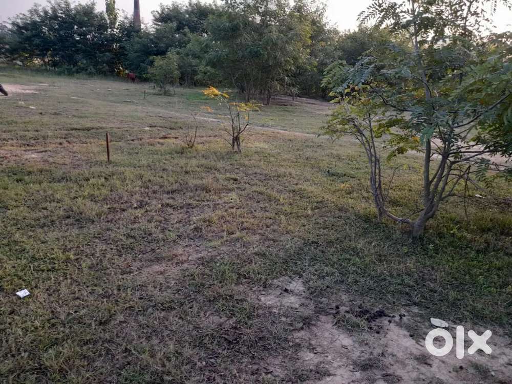 Land at lotovi