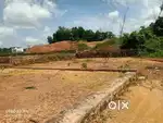THEVAKKAL ,3.4, 3.7 AND 5.9 CENTS RESIDENTIAL PLOTS FOR SALE .