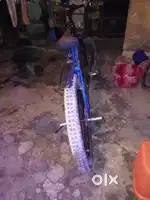 Sell semi fat cycle
