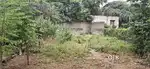Nagarigutta street pulivendula, kadapa, Ap