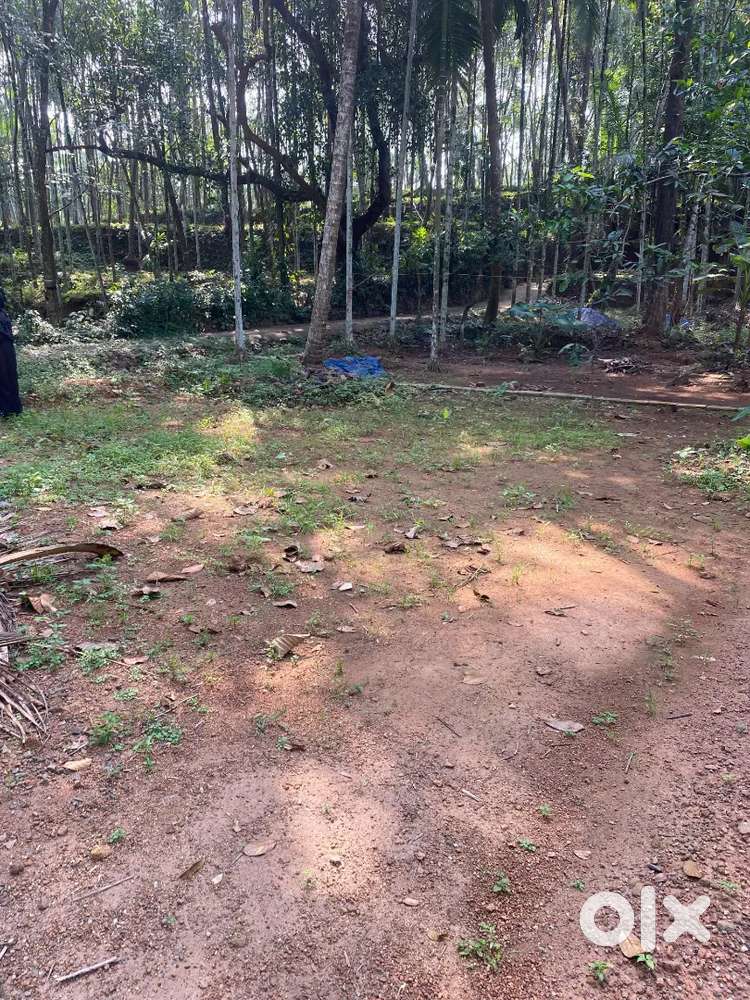 5 cent plot for sale Nanminda iyyad rod